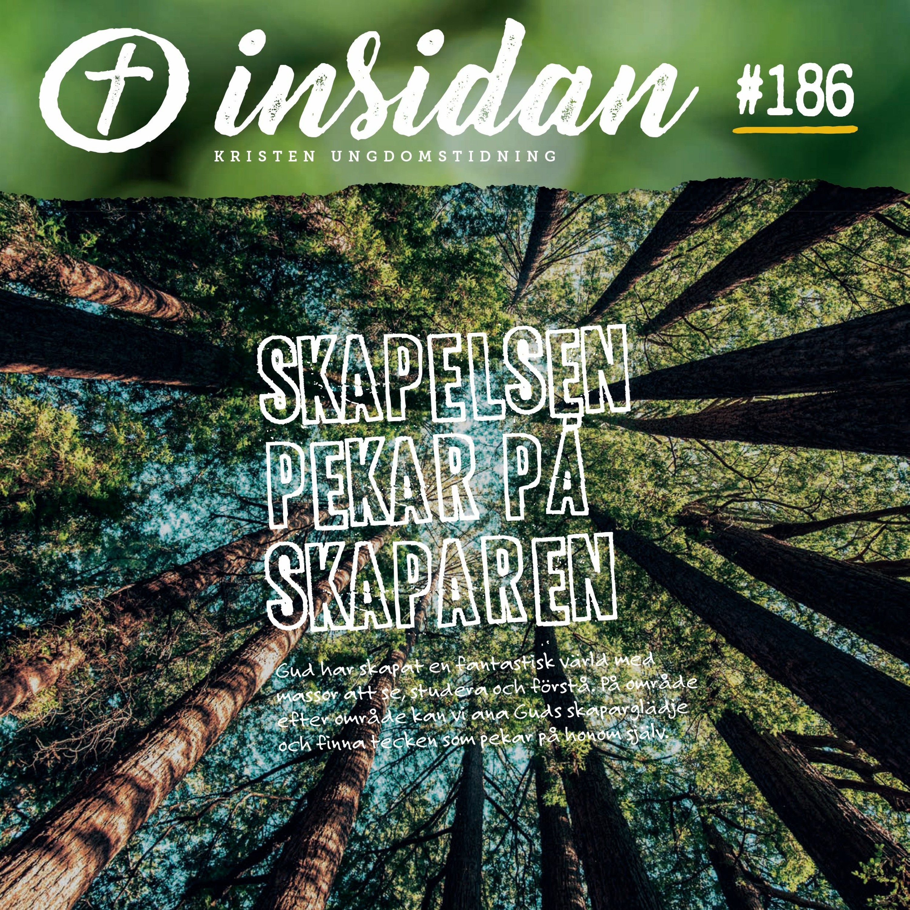 Fysik, matte och ett telefonsamtal ledde Krister till Jesus [Intervju] episode artwork