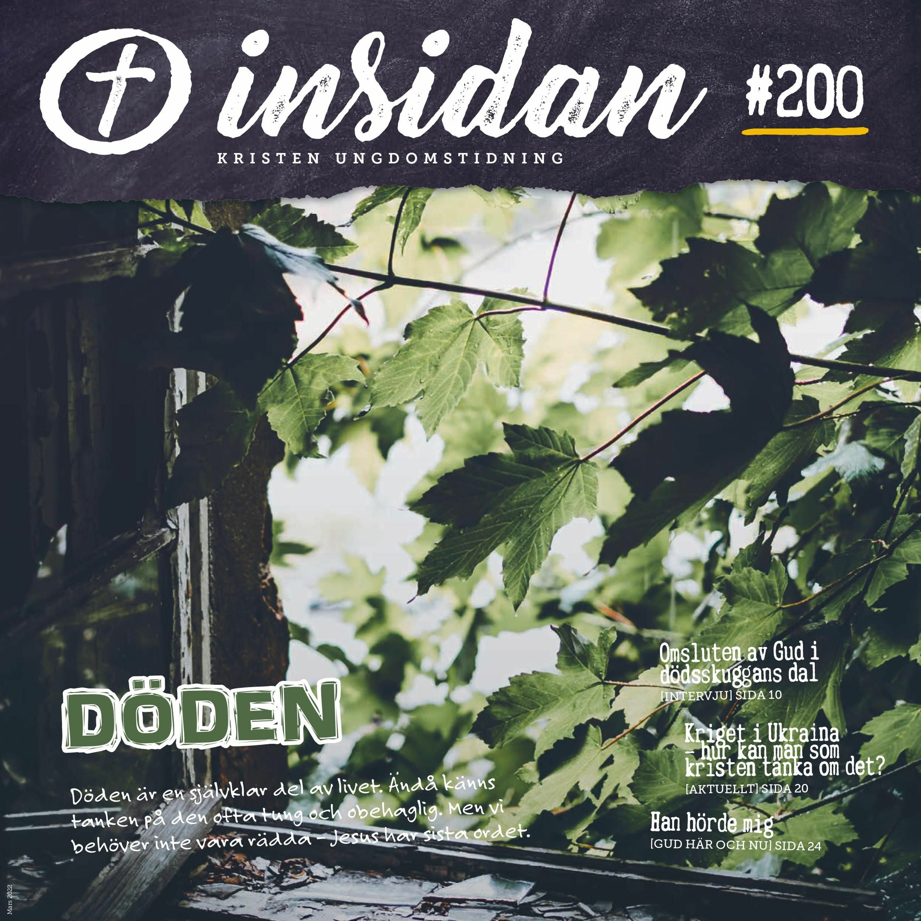 Nåden bär ända in i döden – och förbi [Undervisning] episode artwork